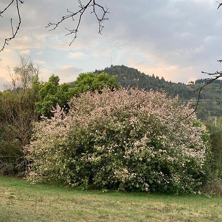 Laragh-On-Hogsback Villa Kültér fotó